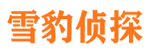 回民侦探公司